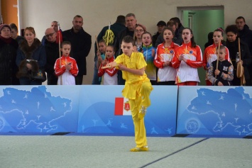 Открытый чемпионат области по ушу состоялся в Одессе