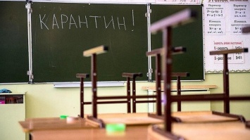 В школах Бердянска продлили карантин