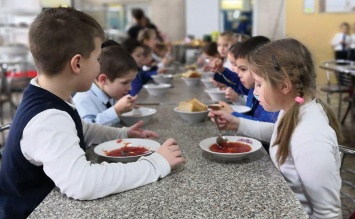 Госдума приняла во втором чтении законопроект о бесплатном горячем питании школьников