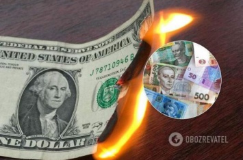 Удар по бюджету: стало известно, как обвал доллара отразился на Украине