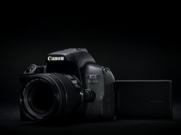 Canon EOS 850D - универсальная зеркалка с продвинутыми сетевыми возможностями