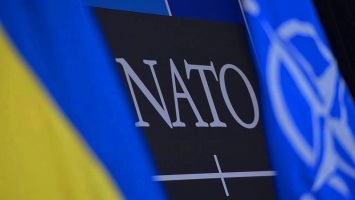 Украина в НАТО: вскоре будет принято судьбоносное решение, сколько ждать