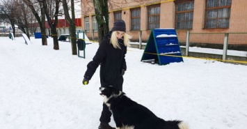 В приюте для животных Харькова ввели необычную должность - обниматель животных