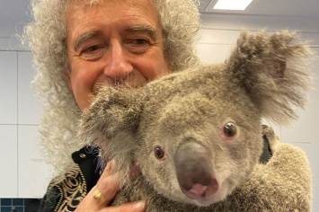 Гитарист Queen устроил концерт для коалы, которую спасли от пожаров в Австралии (ФОТО, ВИДЕО)