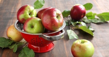 Садоводы пугают огромным дефицитом яблок в Украине и активно повышают цены