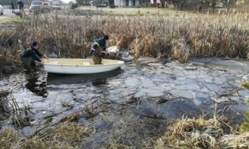 Во Львовской области автомобиль слетел в озеро, четверо погибших