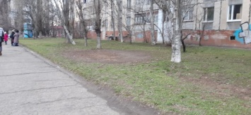 В Заводском районе Николаева провели «рейды чистоты» и убрали негабаритный мусор