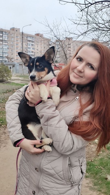 Собака-дизайнер поселилась в одной из семей из Запорожья (ФОТО)