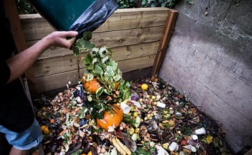 Люди выбрасывают в два с половиной раза больше пищевых продуктов, чем предполагалось ранее