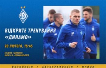 «Динамо» приглашает на открытую тренировку