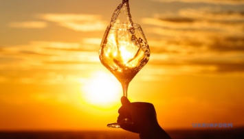 Виноградари Прикарпатья определили лучшие сорта вин