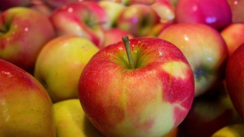 Почему ежедневно необходимо есть яблоки