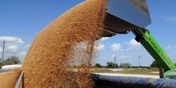 Минэкономики назвало топ-10 товаров украинского экспорта: кукуруза вне конкуренции