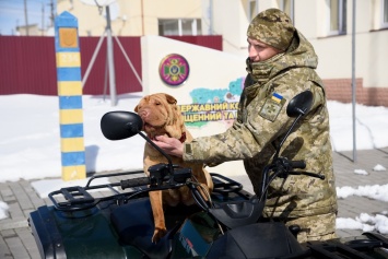 Пограничники рассказали, как помогают им служебные собаки и опубликовали их трогательные фото