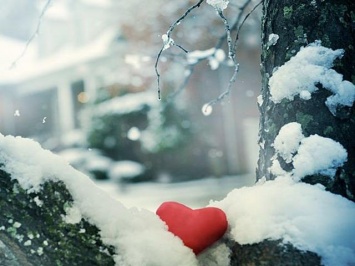 19 февраля: какой сегодня праздник и как встретить свою любовь