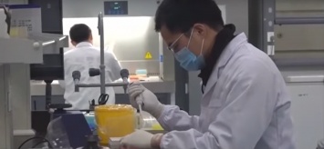 Число жертв коронавируса в Китае превысило 2 тысячи человек