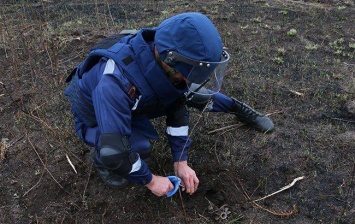 Возле Северодонецка нашли боеприпасы времен Второй мировой войны