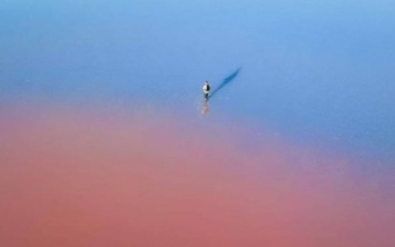 Розовое озеро Херсонщины попало в список престижной мировой премии