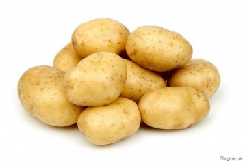 Украинцев ждет рекордно раннее начало сезона молодой картошки