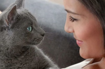 Почему смотреть кошке в глаза - не самое верное решение