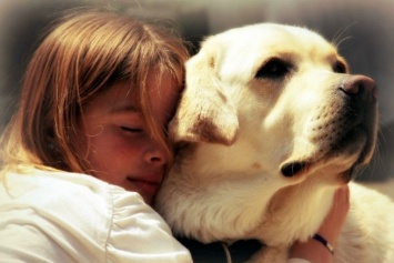ТОП-3 породы собак, которые спасут человека от депрессии