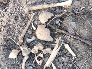 Дорога на могилах: в Преображенском парке нашли множество человеческих костей