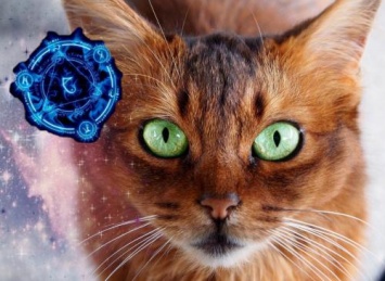 Кошка - хранительница судьбы: Как животное спасет от неприятностей