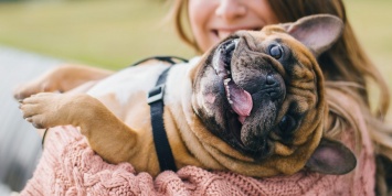 "Наглость - второе счастье": ТОП-3 породы собак, которые могут испортить вам жизнь