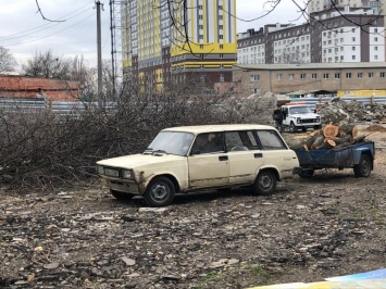 На одесской Слободке вырубили десятки деревьев ради АЗС