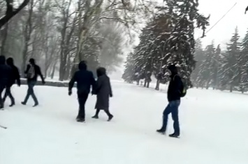Зима пришла, когда уже не ждали: на Закарпатье навалило почти полтора метра снега