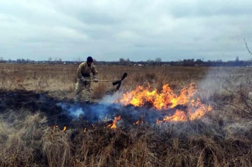 «Слишком теплая зима»: в области горел сухой камыш и трава