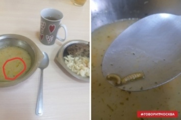 В России роженицу чуть не накормили гусеницами: омерзительное фото