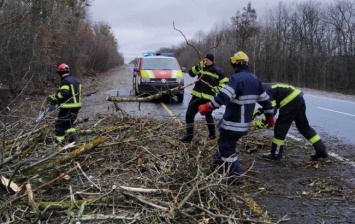 Сильный ветер валит деревья и срывает крыши домов: Украину накрыла непогода