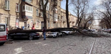 Дикий ураган в Одессе: сносит крыши и вырывает деревья. Погибла девушка