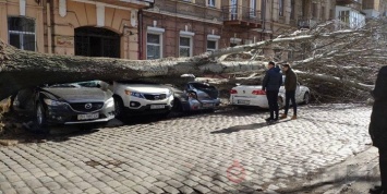 Деревья раздавили десятки машин в Одессе, а в припаркованный BMW прилетели копья