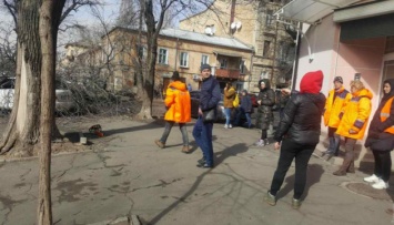 В Одессе во время шквального ветра дерево убило женщину