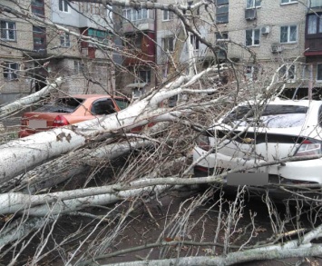 Ураганный ветер на Николаевщине: машины под деревьями, летающие крыши (ФОТО)