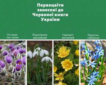 Всеукраинская акция охраны первоцветов стартует в Киеве