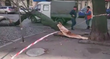 Украину накрыл разрушительный циклон Юлия: фото, видео