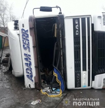 На Харьковщине перевернулась фура со свиньями: ''пассажиры'' разбежались. Видео масштабного ДТП