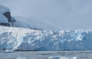 Ученые бьют тревогу: в Антарктиде выпал кровавый снег. Фото