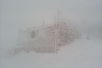 На одной из самых высоких гор Карпат разбушевалась вьюга. Фотофакт