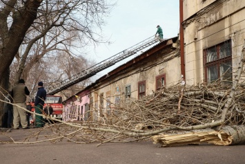Мэр Одессы встретился с жителями дома, чьи квартиры пострадали от падения дерева
