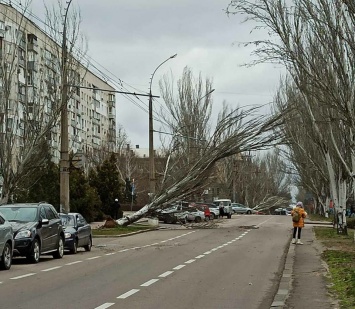 Штормовой ветер в Николаеве наделал убытков на 15 миллионов