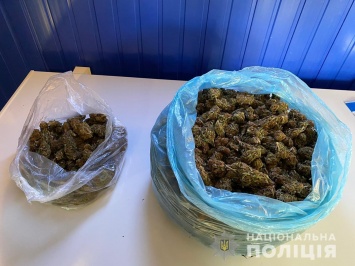 На Днепропетровщине у мужчины обнаружили наркотики на 180 тысяч гривен