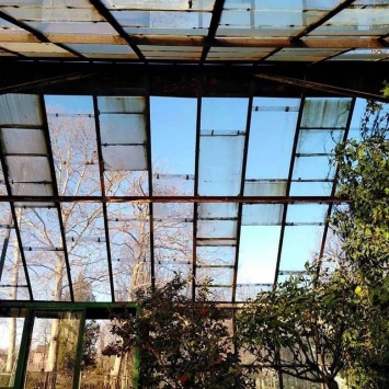 В результате циклона "Юлия" в запорожском ботсаду разбито почти 90 "квадратов" стекол в теплице
