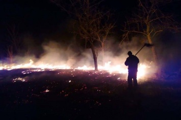 На Днепропетровщине увеличилось количество пожаров в экосистемах из-за ветров и людей, поджигающих траву, - ФОТО