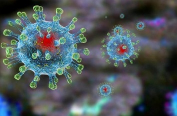 В Польше уточнили данные о наличии коронавируса в стране