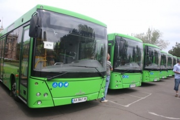 10 месяцев в году николаевские школьники будут ездить в зеленых автобусах бесплатно