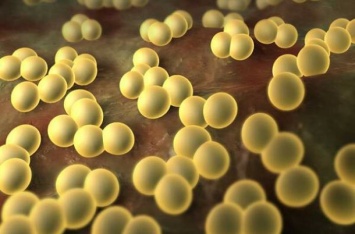 «Эту инфекцию не лечат»: Комаровский ошарашил правдой о популярной болезни